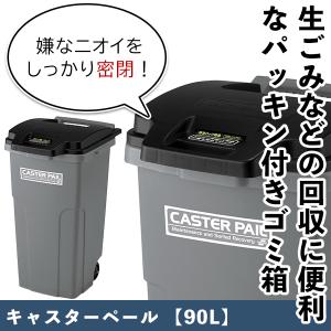 テラモト公式 ゴミ箱 分別 屋外 おしゃれ 蓋...の詳細画像1