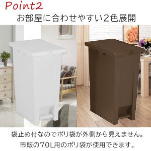 テラモト公式 ゴミ箱 ペダル式 分別 おしゃれ...の詳細画像3