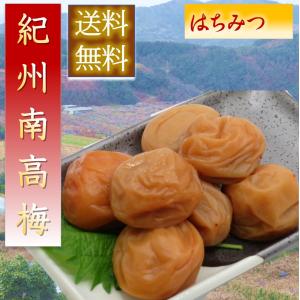 【訳あり】かつお梅干し/はちみつ梅干し各1kg和歌山県産紀州南高梅 梅の一冨士 梅干し はちみつ梅 塩分8％ 500g お取り寄せグルメ