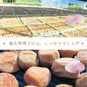 訳あり 紀州南高梅 梅干し かつお味 800g...の詳細画像5