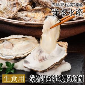 牡蠣 生食用 殻付き かき30個 約3k　生カキ生食用 お取り寄せ ギフト