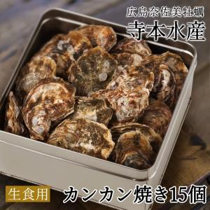 牡蠣 カンカン焼き 殻付き カキ 15個 生食OK 広島 生牡蠣 老舗の味  お取り寄せ