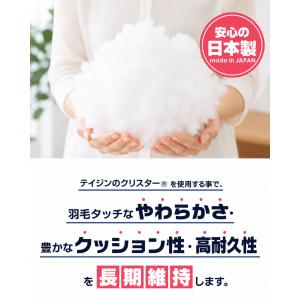 ヌードクッション 45×45 クッション中身 ...の詳細画像4