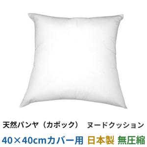 パンヤクッション 55×55 ヌードクッション クッション中身のみ