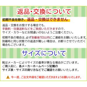 徳武産業 あゆみシューズ 早快マジック 女性用...の詳細画像5