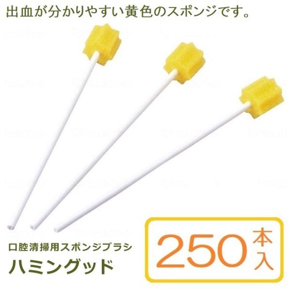口腔清拭用スポンジブラシ やわらかめ ハミングッド 黄色 250本入 紙軸 モルテン MHG250