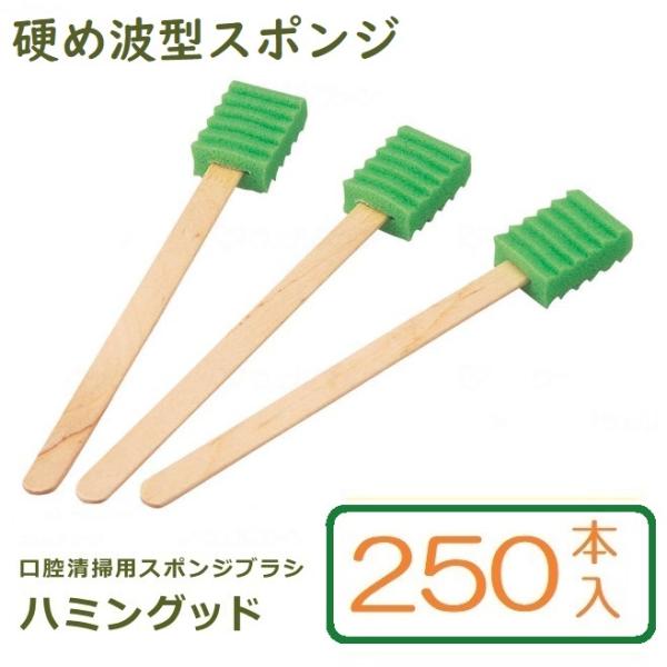 口腔清拭用スポンジブラシ かため ハミングッドH(ハード) 緑色 木軸 250本入 MHGH250 ...