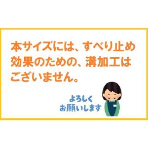 シンエイテクノ タッチスロープ TS80-05...の詳細画像1