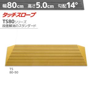 段差解消スロープ 段差5.0cm/幅80cm シンエイテクノ タッチスロープ