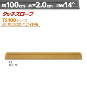 シンエイテクノ タッチスロープ TS100-20 幅100cm/段差2.0cm用｜terasuke