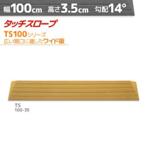 シンエイテクノ タッチスロープ TS100-35 幅100cm/段差3.5cm用