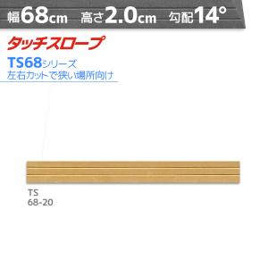 シンエイテクノ タッチスロープ TS80-20 標準タイプ 幅80cm×高さ2cm