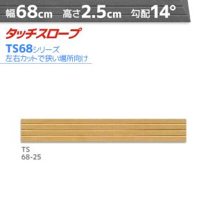 シンエイテクノ タッチスロープ TS80-05 標準タイプ 幅80cm×高さ0.5cm