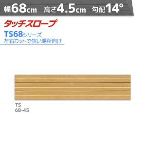 シンエイテクノ タッチスロープ TS80-30 標準タイプ 幅80cm×高さ3cm