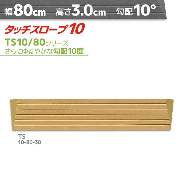 シンエイテクノ タッチスロープ10 TS10-80-30 ゆるやかな勾配10度・10° 幅80cm×...