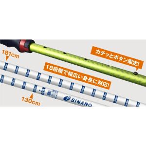 ポールウォーキング シナノ あんしん2本杖 歩...の詳細画像5