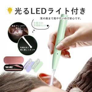 光る耳かき LED ライト 付き ピンセット 充電式 USB みみかき
