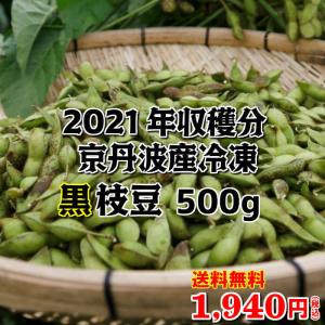 2021年度収穫　京丹波産　冷凍黒枝豆500g（250g×2パック）