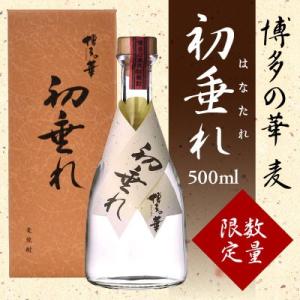 百年の孤独 百年の孤独 麦焼酎 40度 720ml あすつく : 世界のお酒
