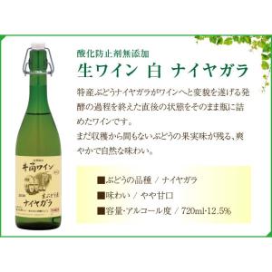 【 11月中旬〜順次入荷分 予約 】長野県塩尻...の詳細画像2