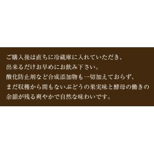 【 11月中旬〜順次入荷分 予約 】長野県塩尻...の詳細画像3