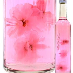 SAKURA KIRAKIRA   天然の桜花入 リキュール 北岡本店 さくらキラキラ500ml  結婚式 引き出物 土産 ☆熨斗対応不可 @｜terazuya