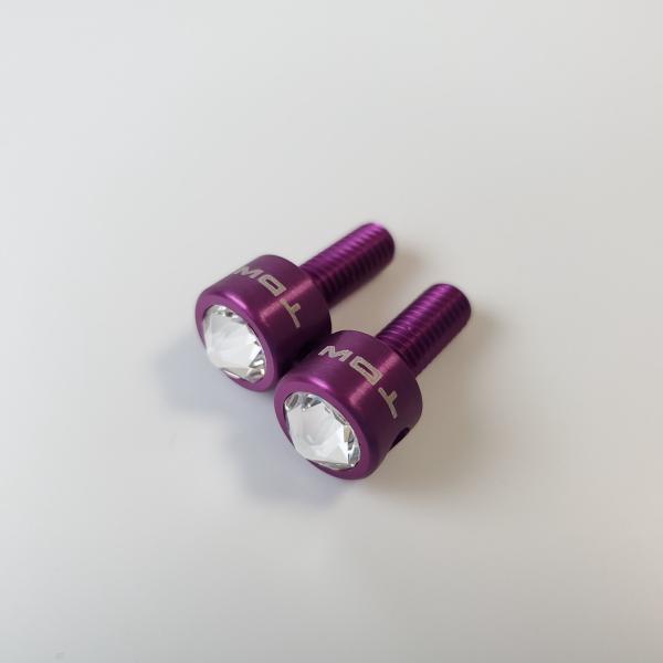 TDW ナンバーボルト 15mm Swaro Effect Msize 2個入 パープル