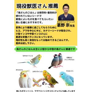 100円クーポンプレゼント ANIF 鳥の餌 ...の詳細画像1