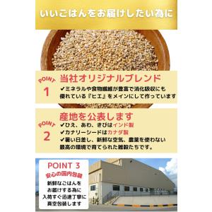 100円クーポンプレゼント ANIF 鳥の餌 ...の詳細画像4