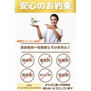 100円クーポンプレゼント ANIF 鳥の餌 ...の詳細画像5