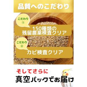 100円クーポンプレゼント ANIF 鳥の餌 ...の詳細画像2