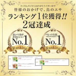 鳥の餌 ハリソン ハイポテンシー スーパーファ...の詳細画像1