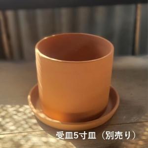 4寸切立 テラコッタ 植木鉢 筒型 シリンダー...の詳細画像5