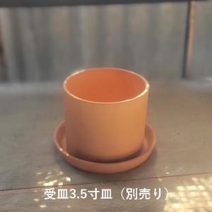 3寸切立 テラコッタ 植木鉢 シリンダー型 観...の詳細画像5