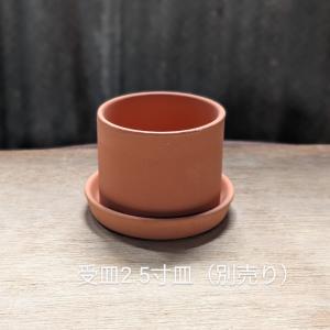 2寸切立 テラコッタ 植木鉢 シリンダー型 多...の詳細画像5
