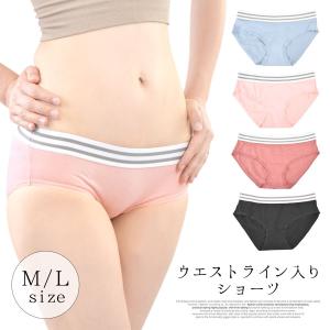 ショーツ パンティー パンツ レディース インナー 下着 肌着 ライン ボーダー ウエストゴム ウエストライン 送料無料｜terracotta