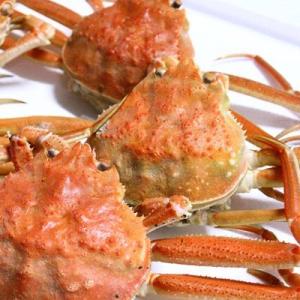 セイコガニ 活 北海道産 香箱ガニ せいこ蟹 せいこがに