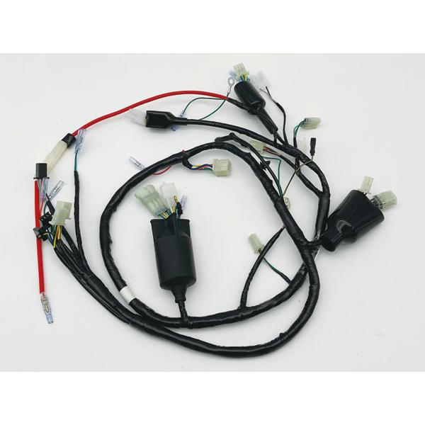 CFポッシュ C.F.POSH NSR50（93/94）用 32100-GT4-690 メインハーネ...