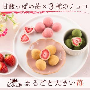 チョコレート ギフト お菓子 人気 プレゼント...の詳細画像3