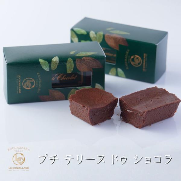 5個以上ご注文で送料無料 プチテリーヌドゥショコラ ガトーショコラ  スイーツ ギフト 誕生日 バー...