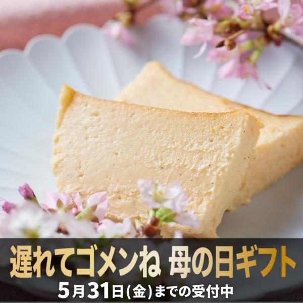 母の日 早得 4/30迄 ポイント10倍 2024 チーズケーキ プレゼント ケーキ お取り寄せ ス...