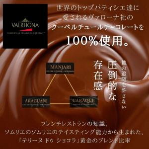 お中元 夏ギフト 2026 テリーヌドゥショコ...の詳細画像2