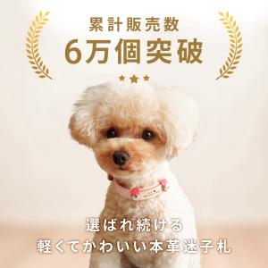 犬 迷子札 名前入り ネームプレート 超軽量 ...の詳細画像2