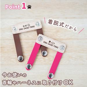 犬 迷子札 名前入り ネームプレート 超軽量 ...の詳細画像3