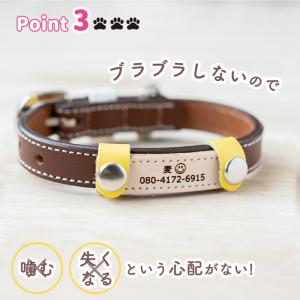 犬 迷子札 名前入り ネームプレート 超軽量 ...の詳細画像5