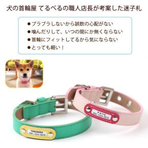 名前入り 犬 首輪 犬の首輪 おしゃれ かわい...の詳細画像2