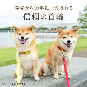 犬 首輪 犬首輪 犬の首輪 おしゃれ かわいい...の詳細画像2