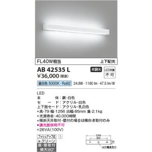 KOIZUMI コイズミ照明 横長ブラケット[LED電球色]AB42534L