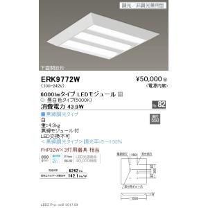 ENDO LEDZ SD 450シリーズ直付スクエアベースライト[LED昼白色5000K]ERK9772W｜terukuni