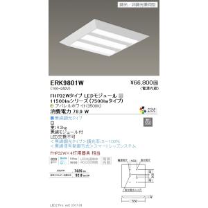 ENDO LEDZ SD 450シリーズ直付スクエアベースライト[LEDアパレルホワイト3500K]ERK9801W｜terukuni